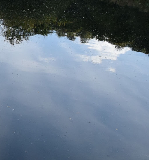 粉象生活怎么赚钱?操作一个月收入3