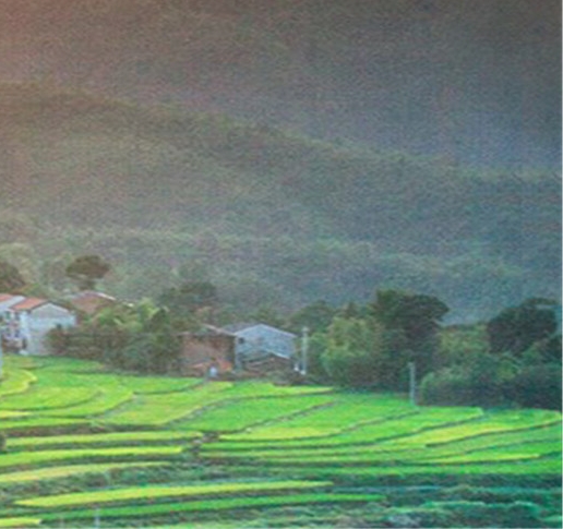 粉象生活到底靠谱吗