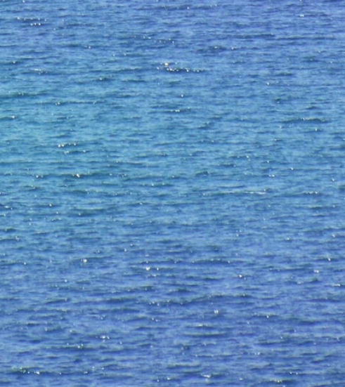 粉象生活是什么东西,真的靠谱吗