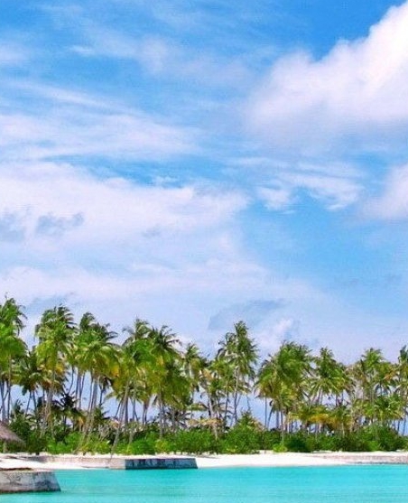 粉象生活能赚到钱吗