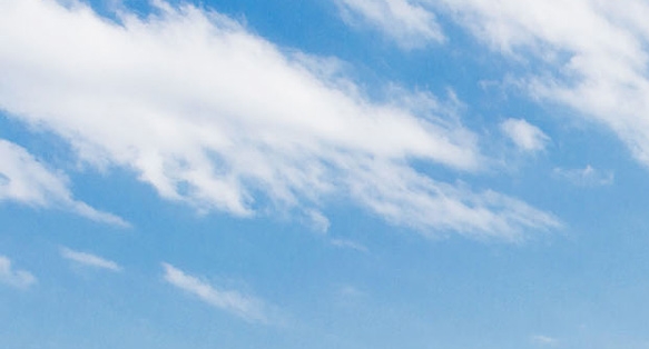 粉象生活日常怎么赚钱