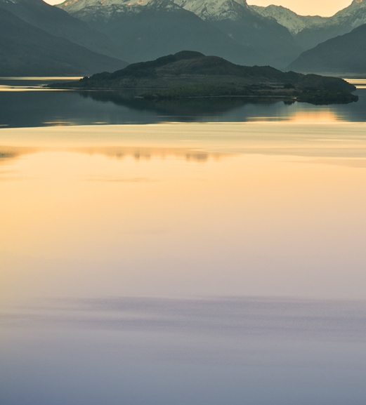 粉象生活送的东西怎么查
