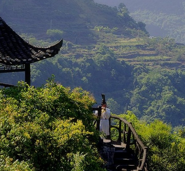 高佣联盟到底有粉象生活好吗