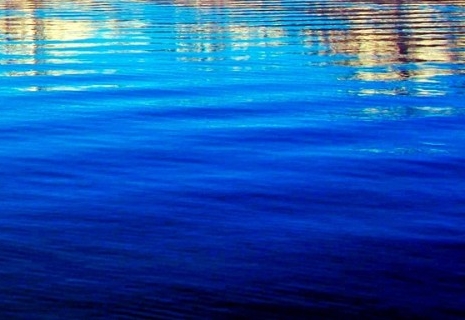 粉象生活邀请码