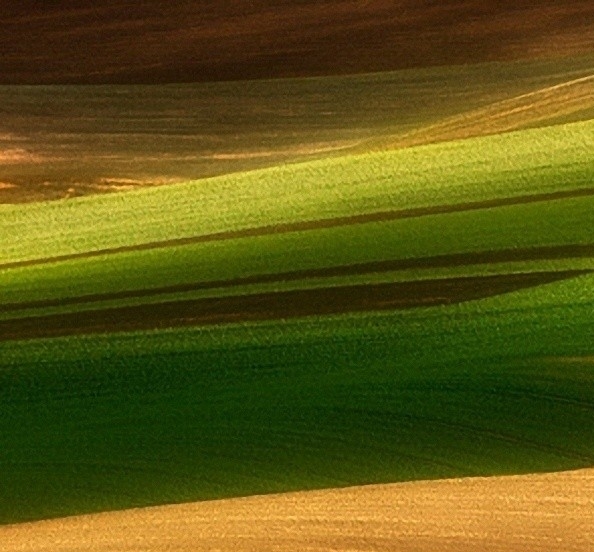 粉象生活现在有哪些活动