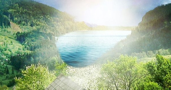 河南口碑好的粉象生活软件