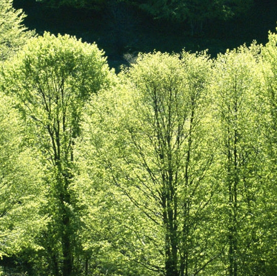粉象生活怎么用新人邀请码