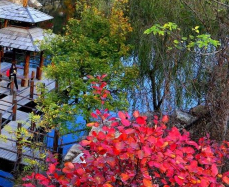 镇江粉象生活客服