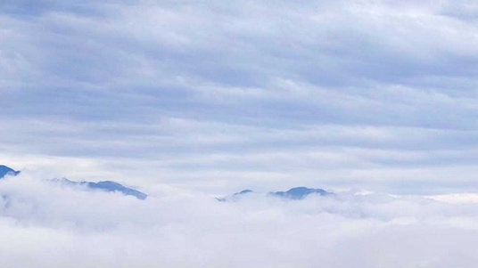 粉象生活分现金图片