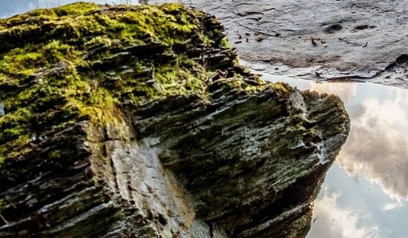 粉象生活如何分享朋友圈