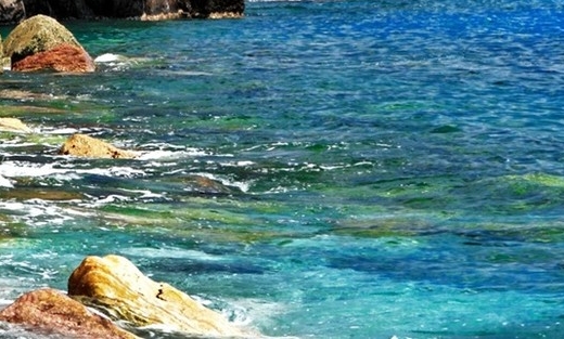 粉象生活还有啥