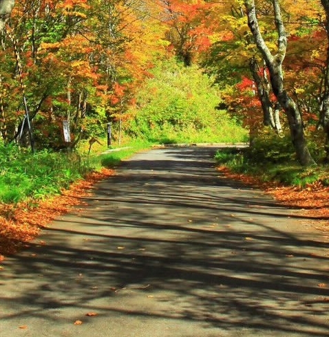 粉象生活邀请码可以随便填吗