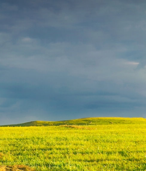 粉象生活怎么样做淘宝