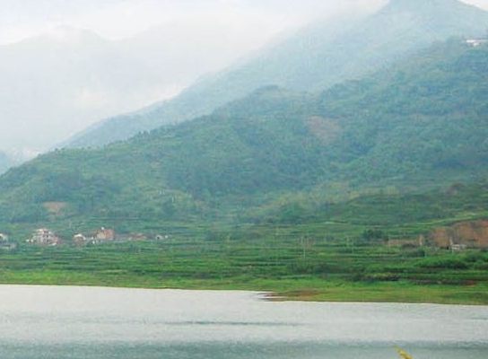 粉象生活如何取消手机号