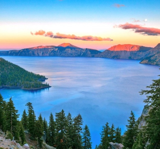 怎么在粉象生活里找优惠券