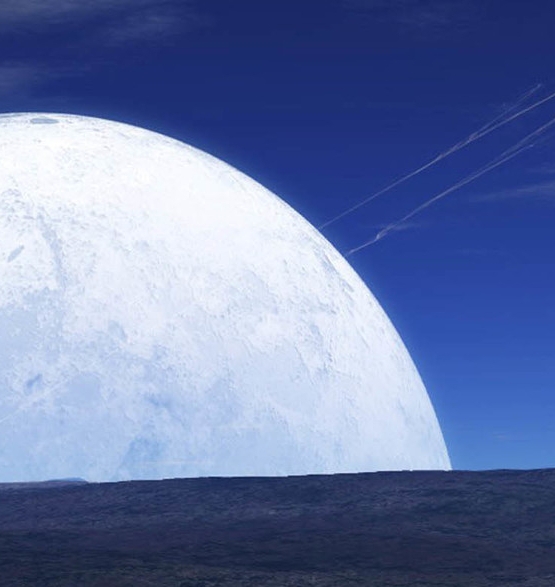 东莞粉象生活合伙人