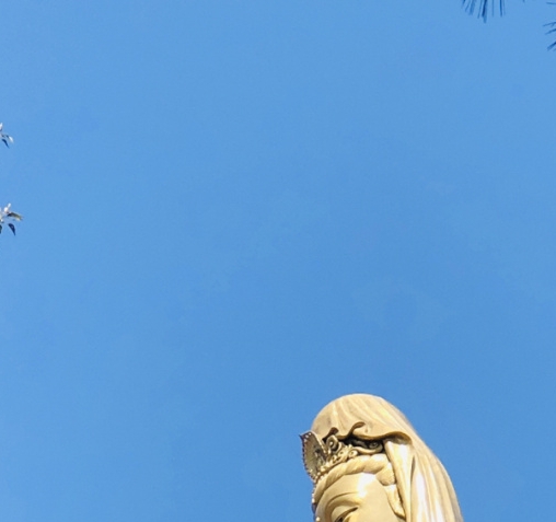 加入粉象生活要缴多少钱