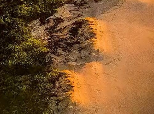 粉象生活能赚到钱吗