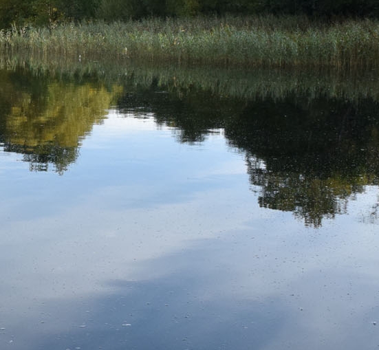 粉象生活免费推广怎么收费