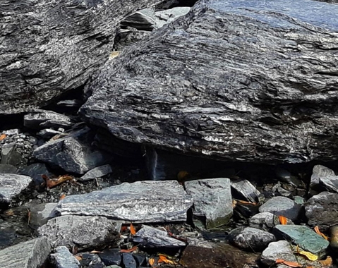 粉象生活怎么赚钱的