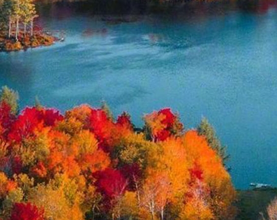 粉象生活怎么样领优惠券