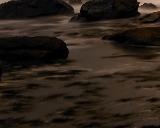 粉象生活什么时候成立的