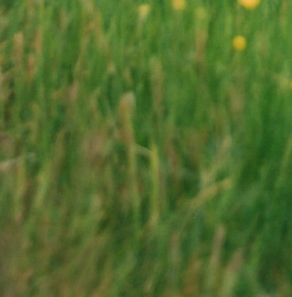 粉象生活宝妈如何挣钱