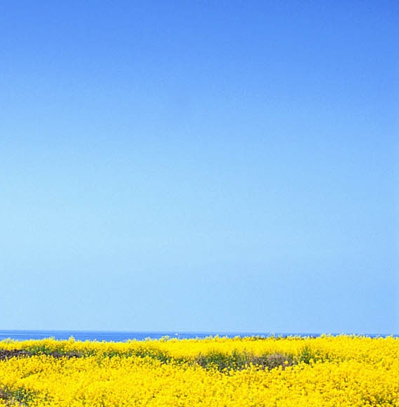 粉象生活能看到粉丝订单吗