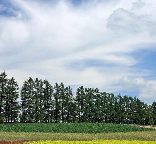 粉象生活下载app