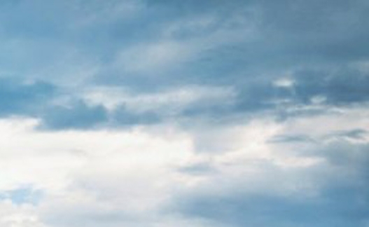 粉象生活邀请表