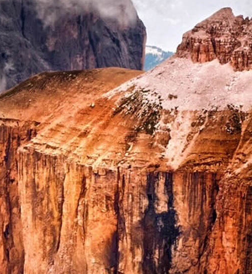 粉象生活app官方网站