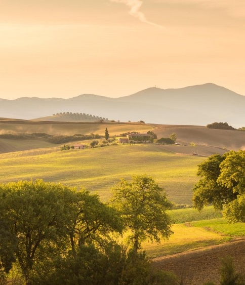 粉象生活可以赚钱吗