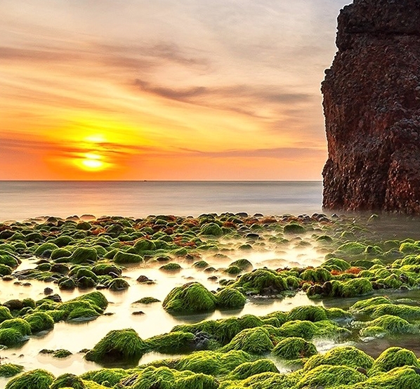 粉象生活能赚到钱吗