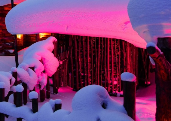 神象野山参粉的吃法