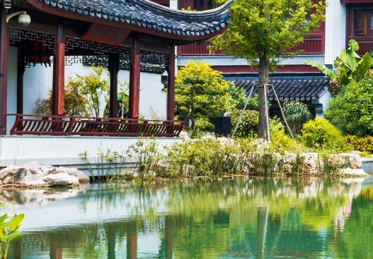 粉象生活推荐id