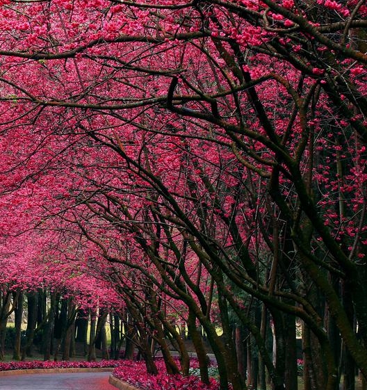 合肥粉象生活群