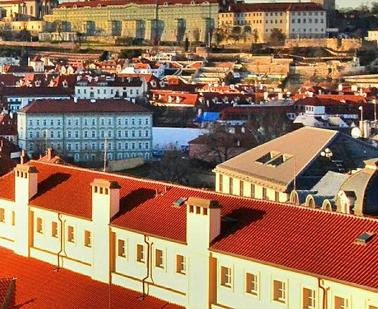 粉象生活可以看到购物车吗