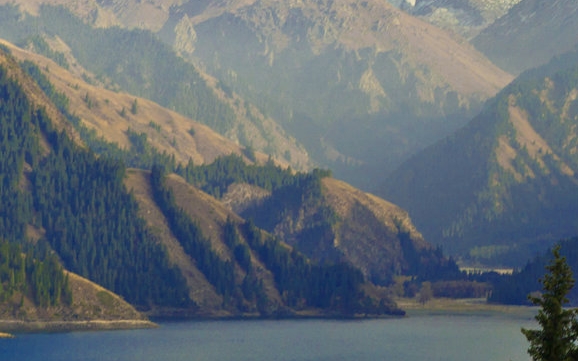 粉象生活购物是先付款还是先分享