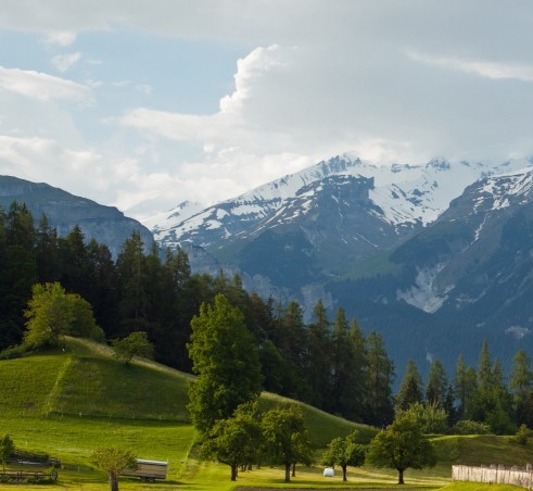 粉象生活邀请码