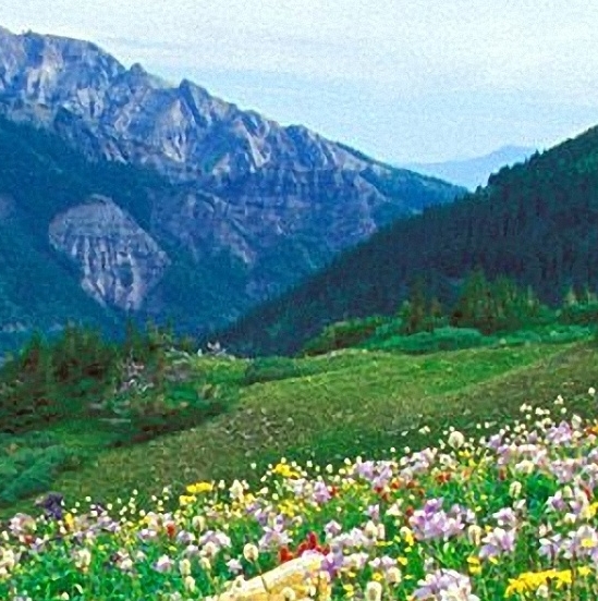 粉象生活如何下单