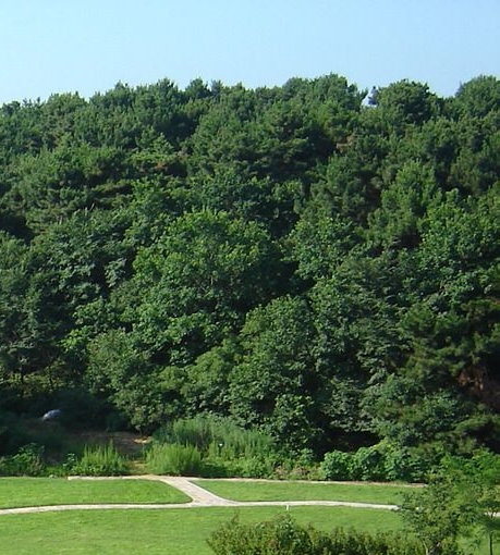 临沂有没有学法积分