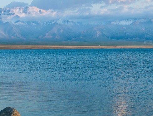 粉象生活要注册吗粉象生活