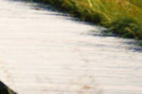 到底什么是粉象生活