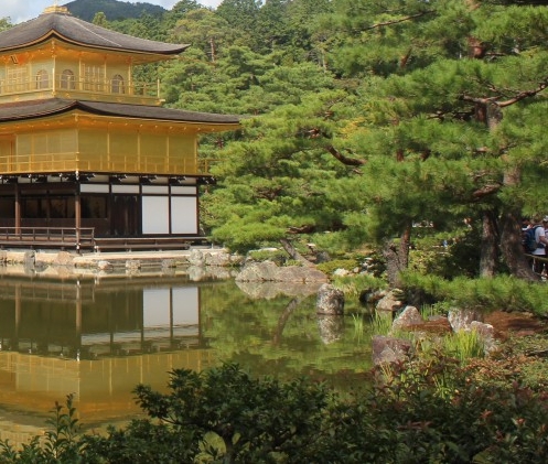 粉象生活真正的税后收入