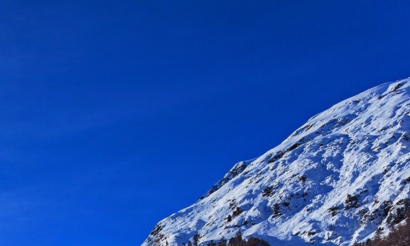 怎样邀请粉象生活