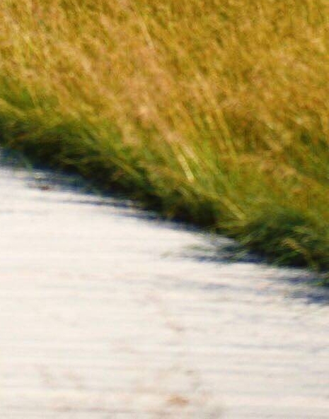 粉象生活下载app