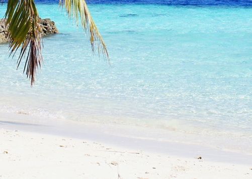 聊城粉象生活收入