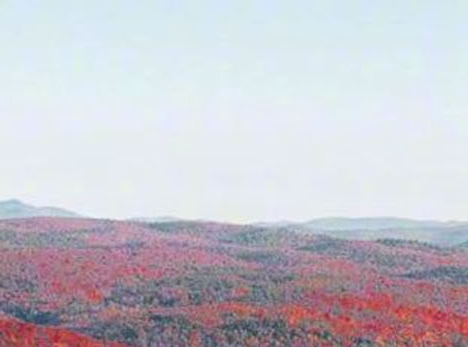 粉象生活可以赚钱吗