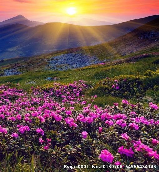 粉象追剧app2023新版