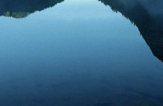 粉象生活是干嘛的